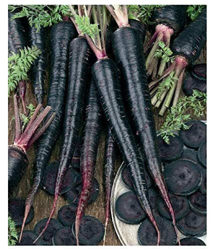 Black Carrot / Kali Gajar Seeds | Winter Vegetable Seeds | Best For Home Garden & Terrace