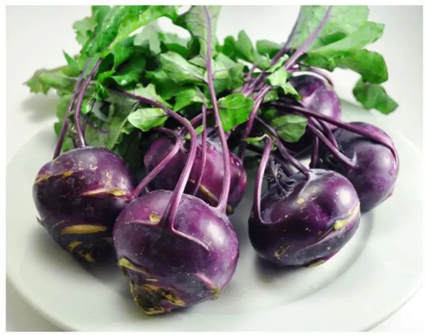 Kohlrabi / Knol Khol / Ganth Gobhi Vegetable Seeds for Home Garden & Terrace | Fresh Bulb Vegeta
