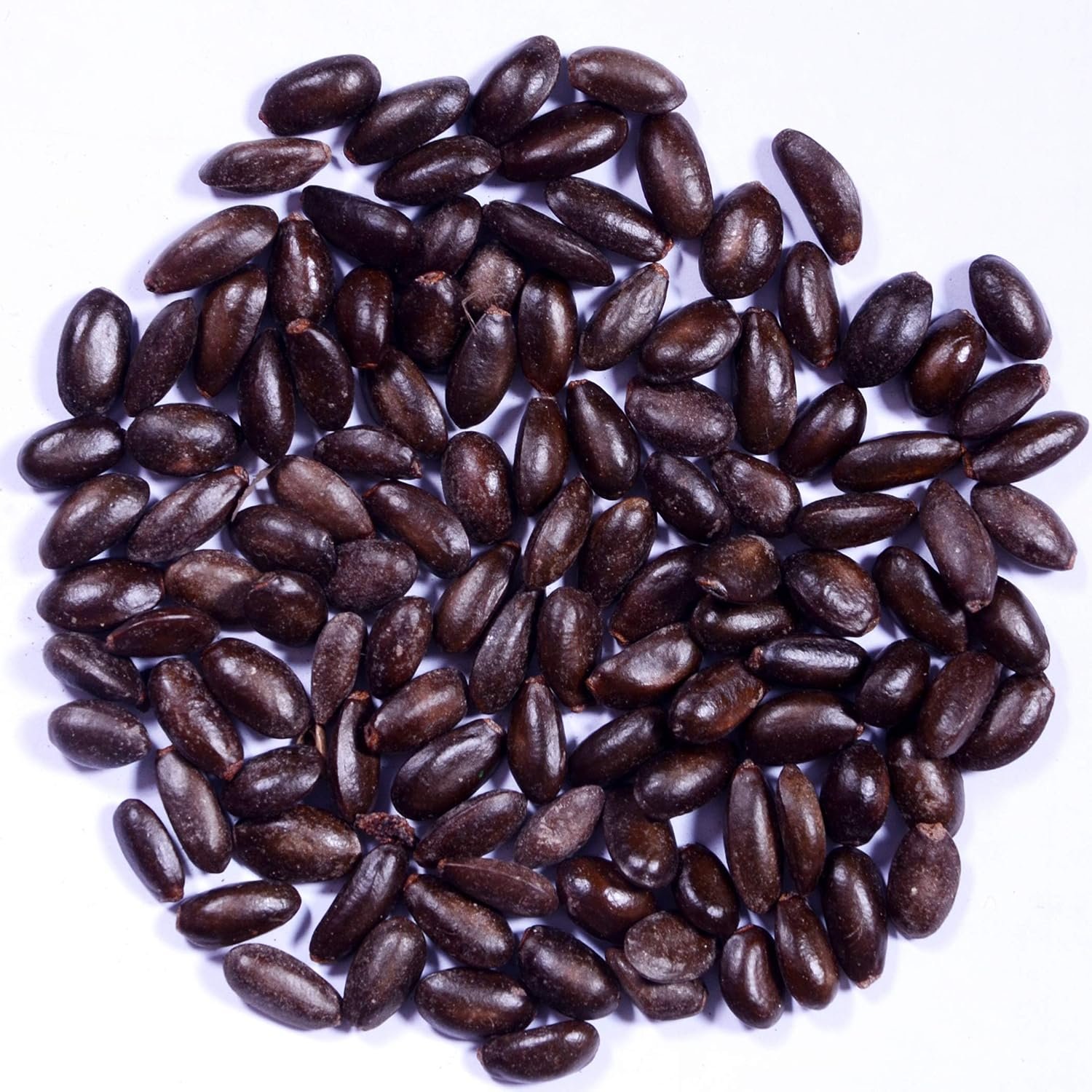 Sitaphal / Custard Apple Fruit Seeds for Pot & Home Gardening