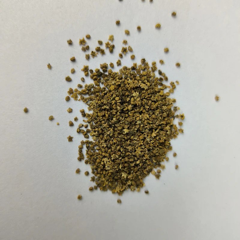 Kochia Fire Bush Seeds | Summer Flower Seeds For Home Garden & Terrace