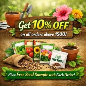 Get 10% OFF Offer